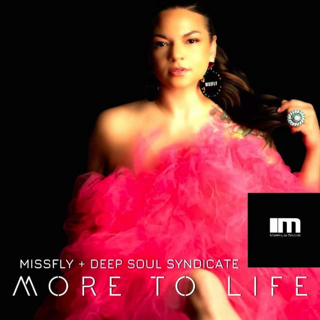 More to Life - Deep Soul Syndicate Main Mix cover art