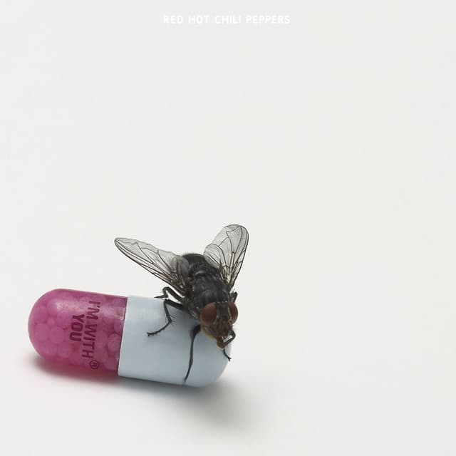 Even You Brutus? cover art