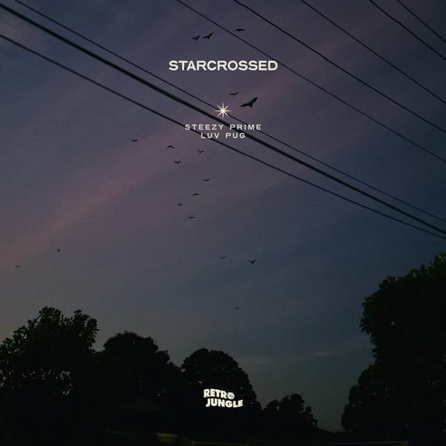Starcrossed cover art