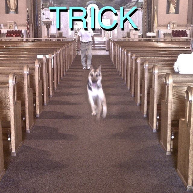 Forever cover art