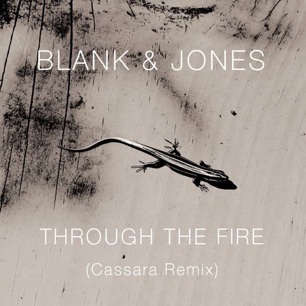 Through the Fire - Cassara Remix cover art