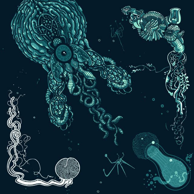 Blue Experience cover art