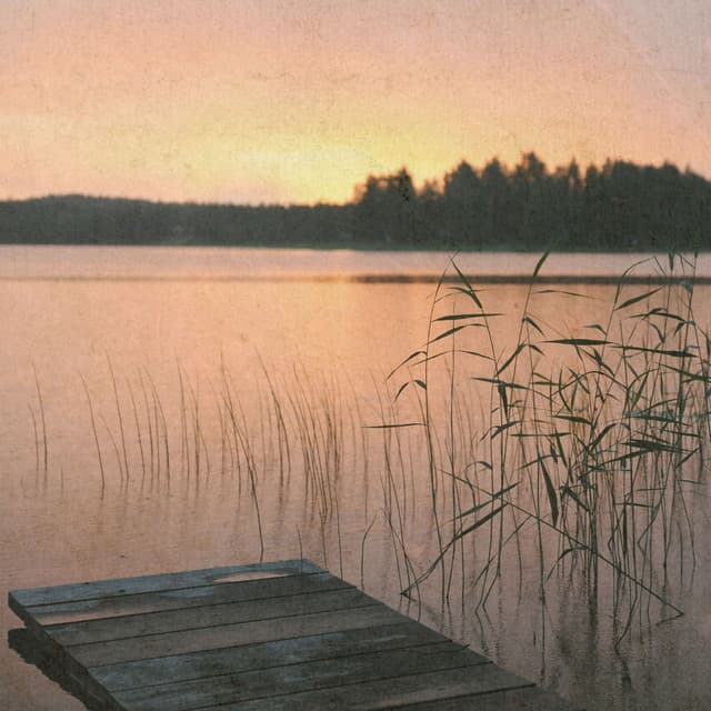 Goldberg Reflections Aria for Violin, String Orchestra & Harpsichord cover art