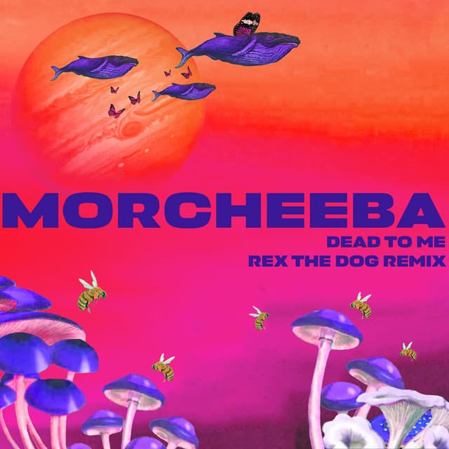 Dead To Me - Rex The Dog Remix Edit cover art