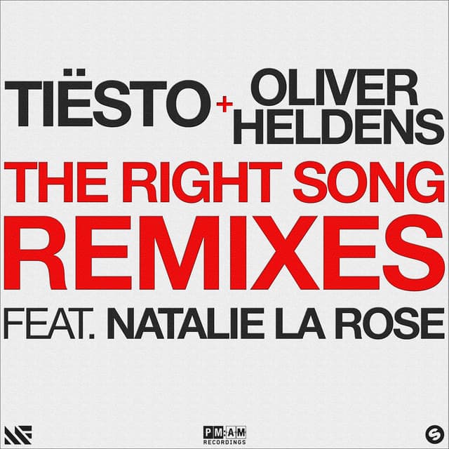 The Right Song - Mike Williams Remix cover art
