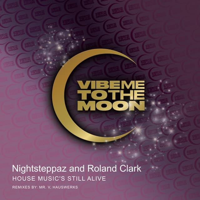 House Music's Still Alive - Mr. V Sole Channel Cafe Remix cover art
