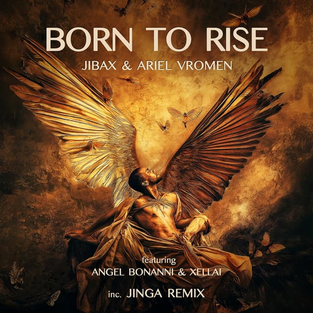 Born to Rise cover art