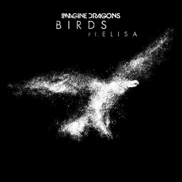 Birds cover art