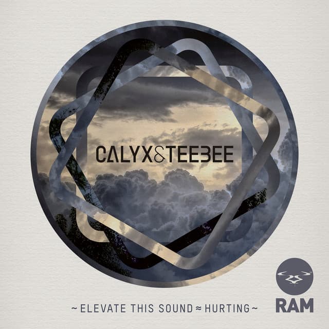Elevate This Sound cover art