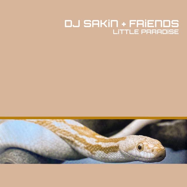 Little Paradise - DJ Sakin's Mix cover art