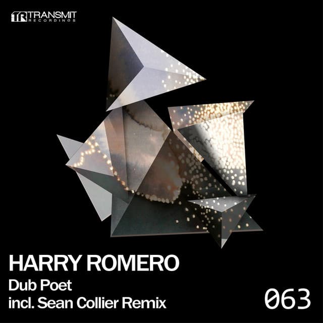 Dub Poet cover art