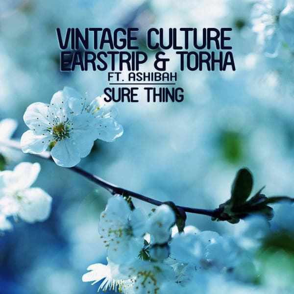 Sure Thing - Original Mix cover art