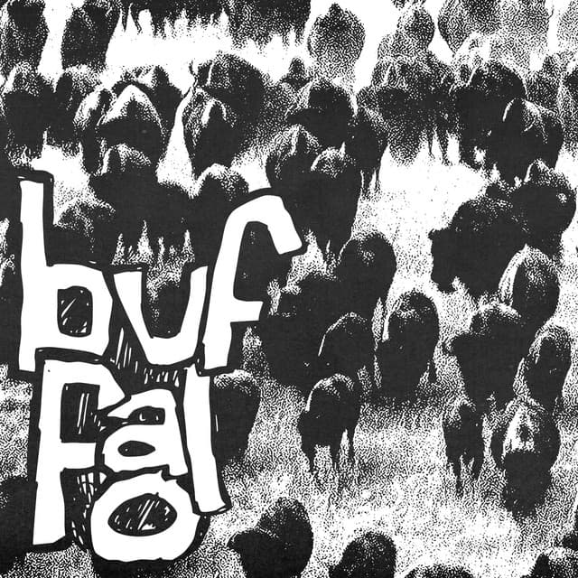 Buffalo cover art