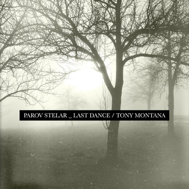 The Last Dance - Raul Irie Remix cover art
