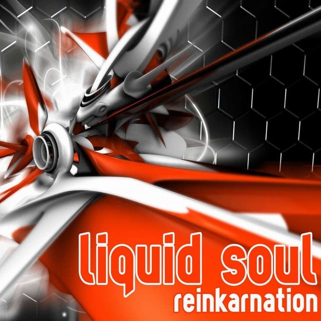 Reinkarnation - Dj Mix cover art
