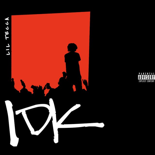 IDK cover art