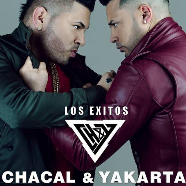 Sonando Contigo cover art