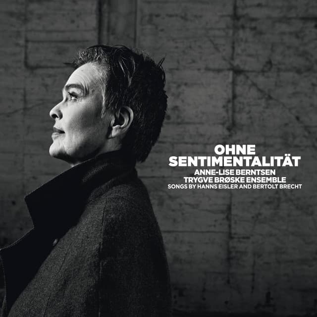 Solidaritätslied cover art