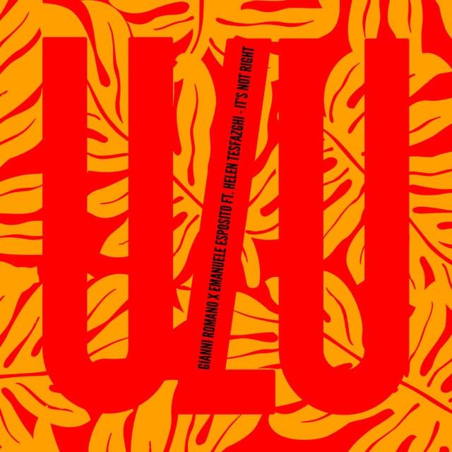 It's Not Right - Radio Edit cover art