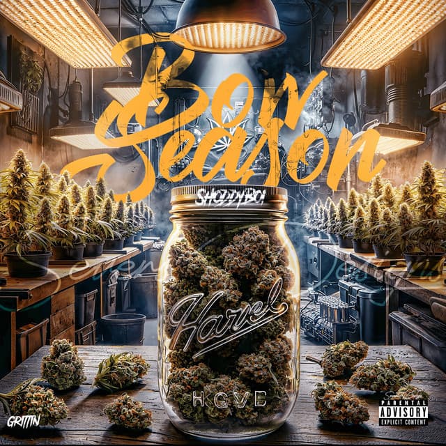 Literally cover art