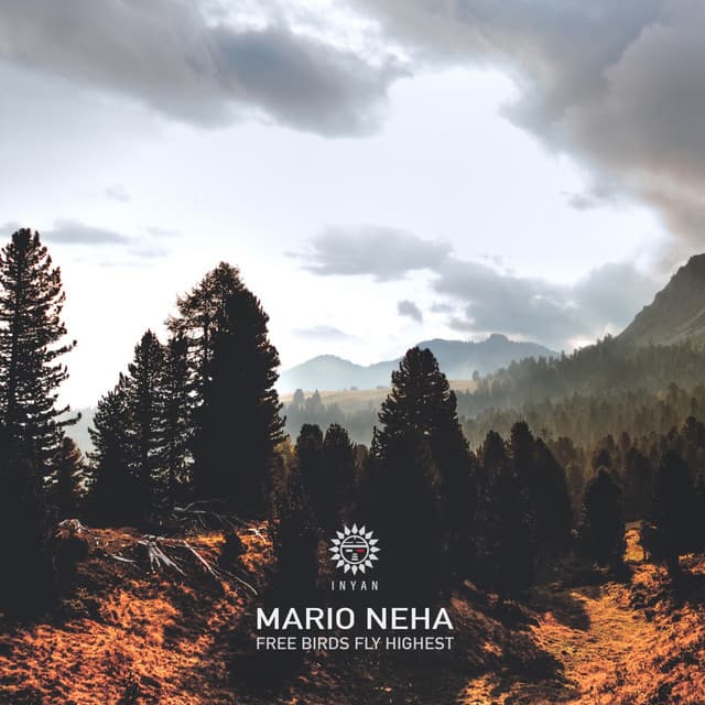 Mario Neha
