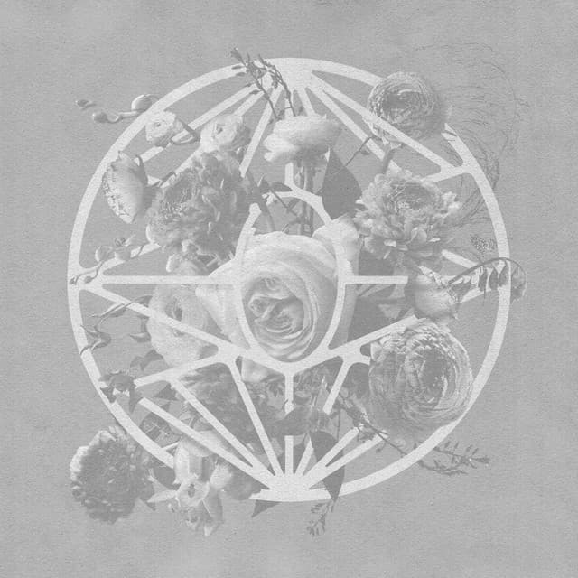 Turn the Light On (Deluxe Edition) cover art