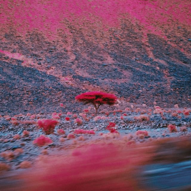 Kairos cover art
