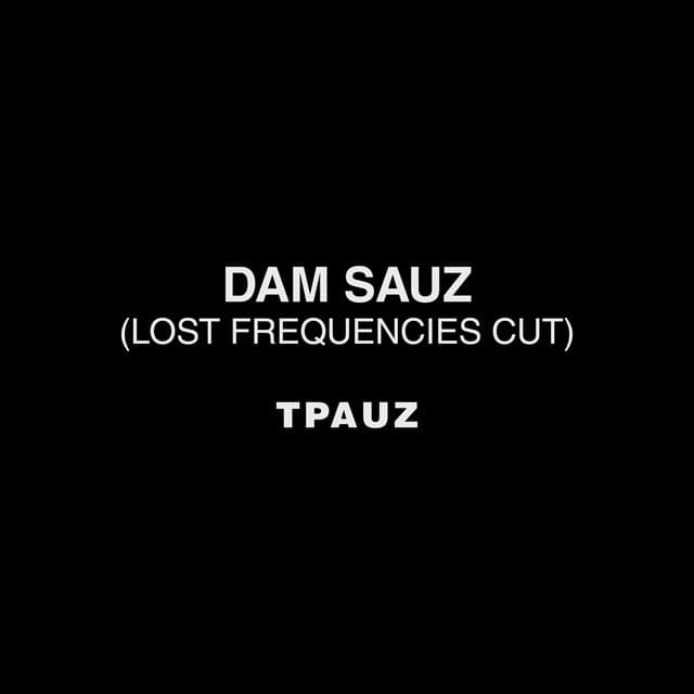 Dam Sauz (Lost Frequencies Cut) cover art