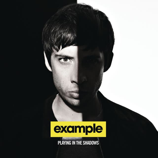 Playing In The Shadows cover art