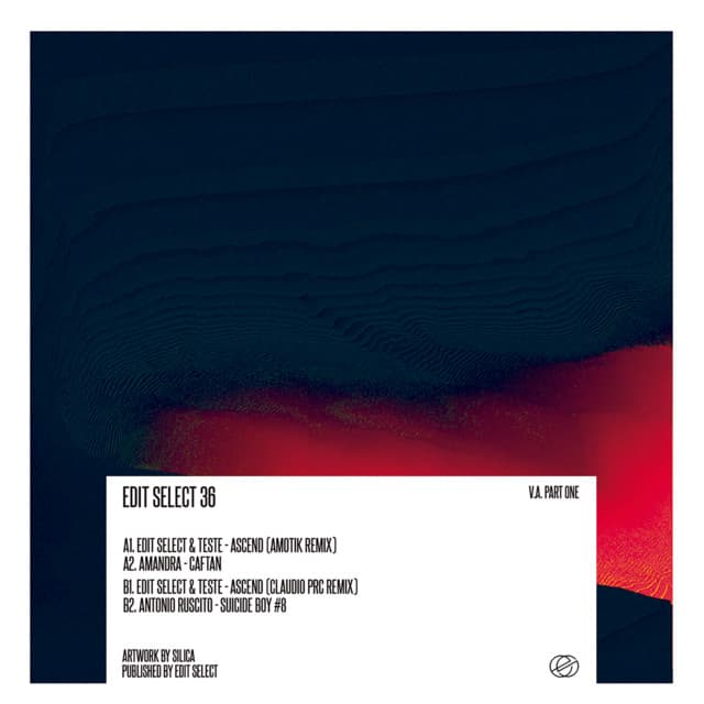 EDITSELECT36 cover art