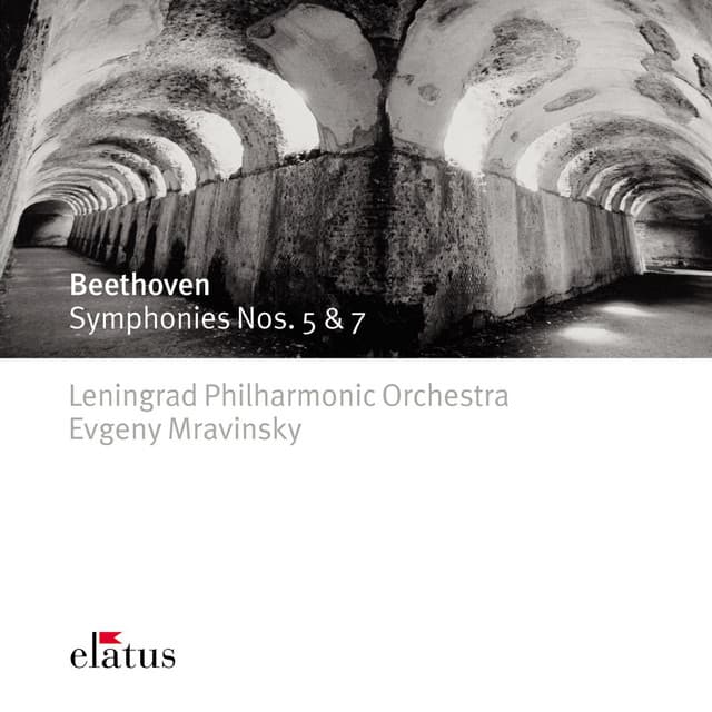 Beethoven: Symphony No. 5 in C Minor, Op. 67: IV. Allegro - Presto (Live at Leningrad, 1974) cover art