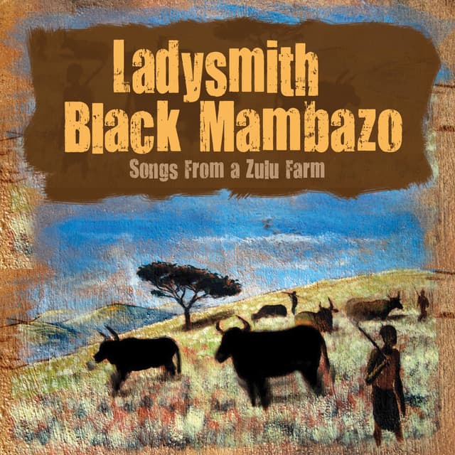 Wemfazi Ongaphesheya (River Talk) cover art