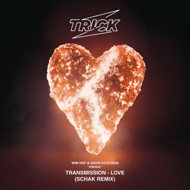 LOVE - Schak Remix cover art