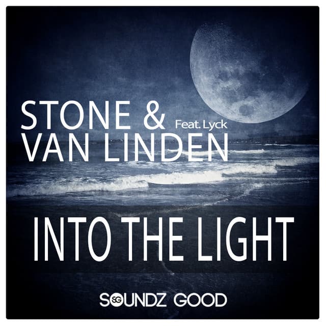 Into The Light - Summer Single Mix cover art
