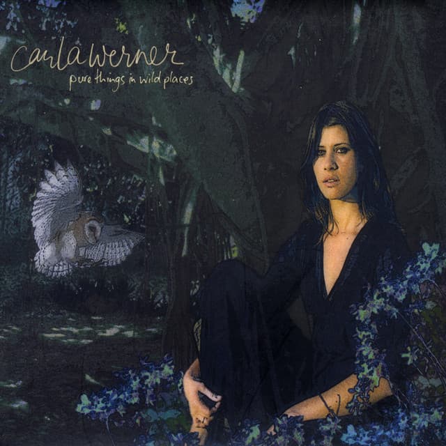 Edge of Joy cover art