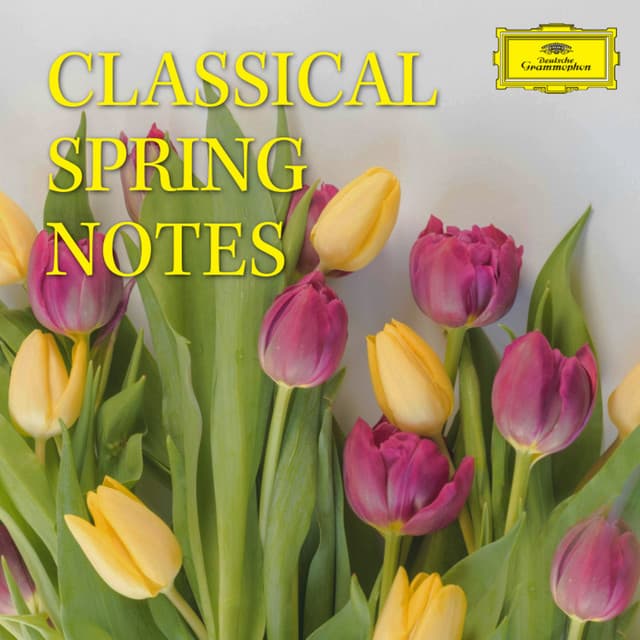 The Four Seasons: Winter, Violin Concerto in F Minor, RV 297, Op. 8 No. 4: II. Largo cover art