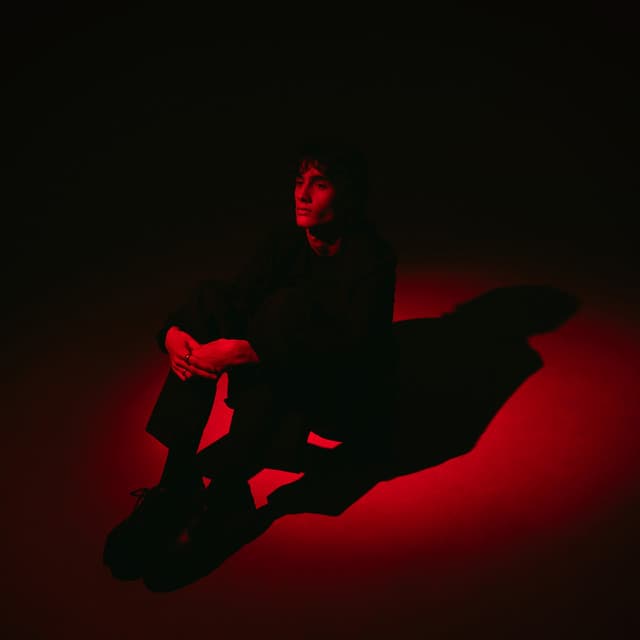 silhouette cover art