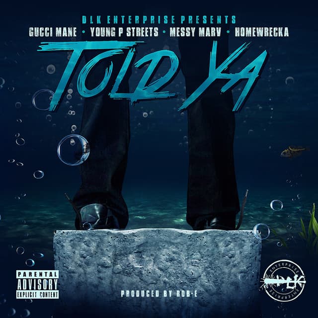 Told Ya cover art
