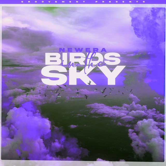 Birds In The Sky (Tays & Charva Boys Remix) cover art