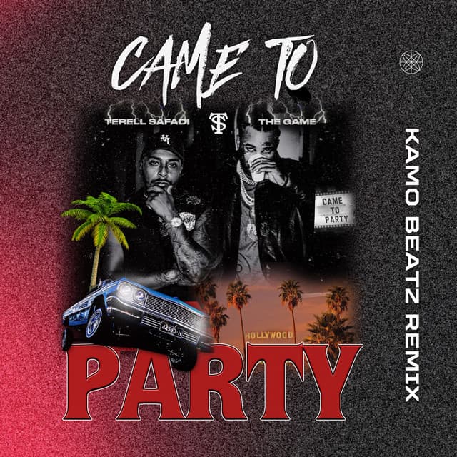 Came To Party - Kamo Beatz Remix cover art