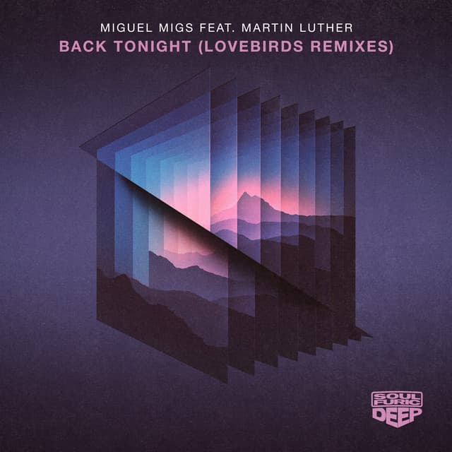 Back Tonight - Lovebirds Disco Sketch Mix cover art