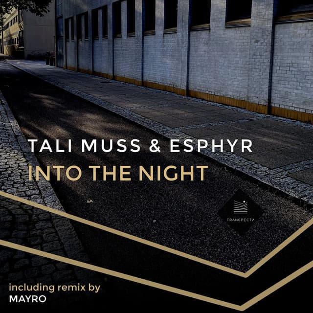 Into the Night - Dub Mix cover art