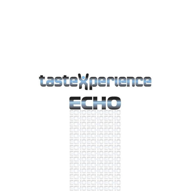 Echo - 7inch Mix cover art