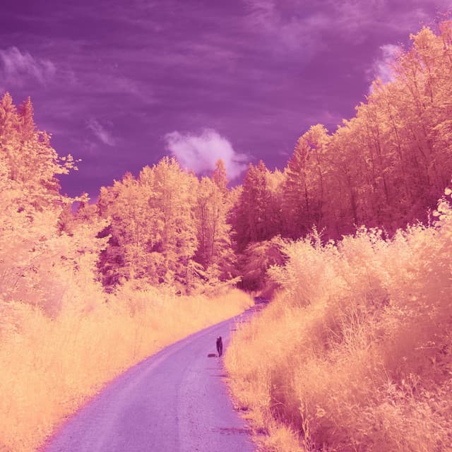 No Sudden Moves cover art