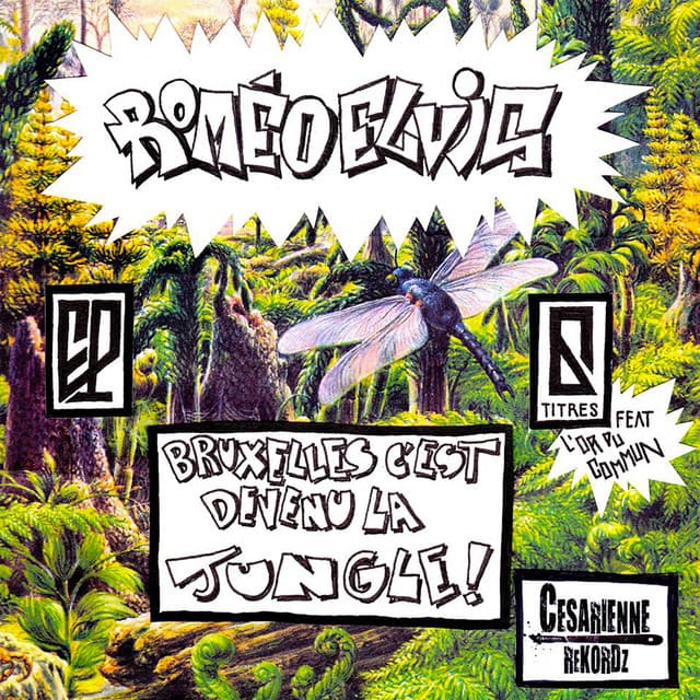Linkebrousse (feat. Swing) cover art