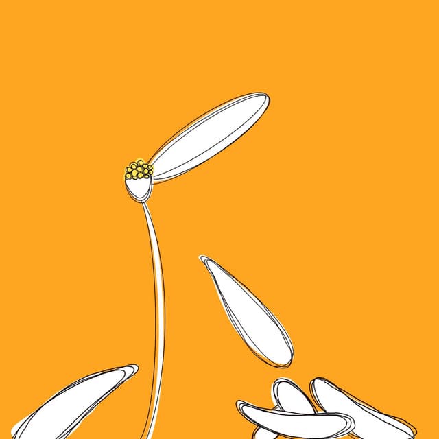Sweet & Sour cover art