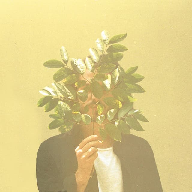 Joy cover art