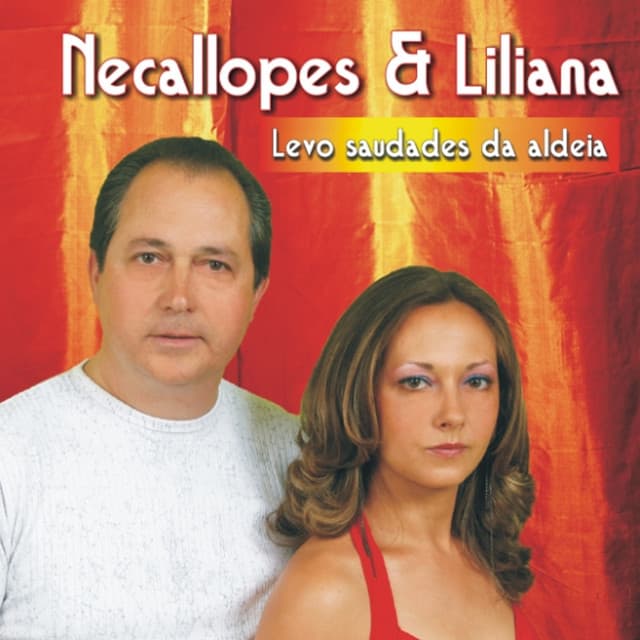 Festas de Verão Na Aldeia cover art