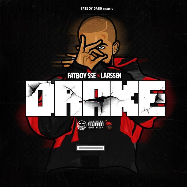 Drake cover art