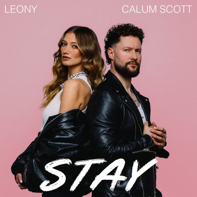 Stay cover art